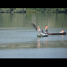 Fischen mit dem Wurfnetz